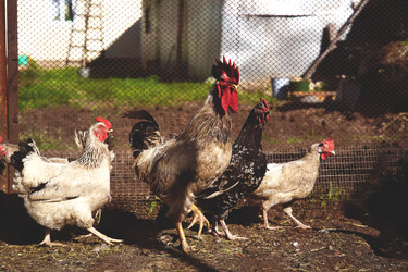 Similar image 22167029