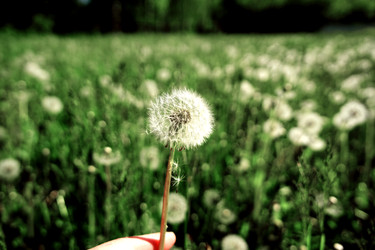 Similar image 22167030