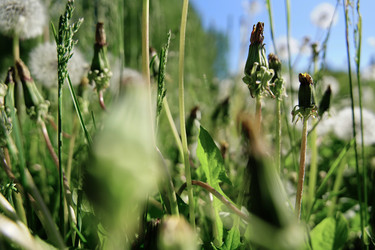 Similar image 22167031