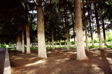 Similar image 22167033