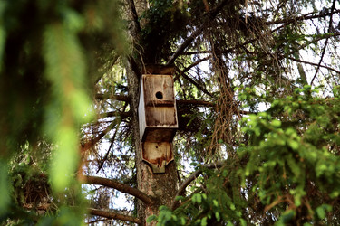 Similar image 22167034