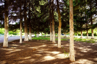 Similar image 22167035