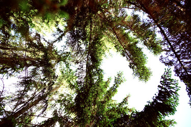 Similar image 22167037