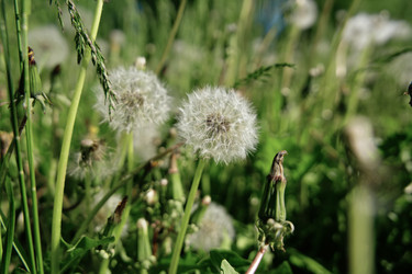 Similar image 22167040