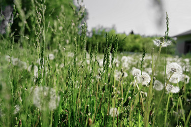 Similar image 22167041