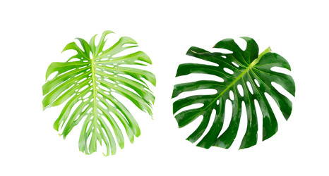 Similar image 22165475