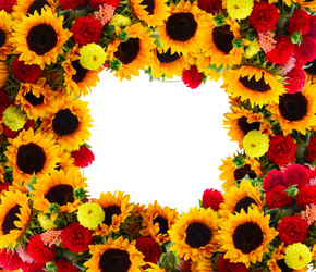 Similar image 22165479