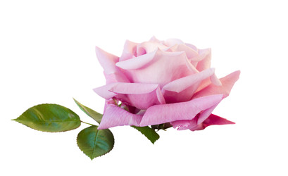 Similar image 22165482