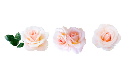 Similar image 22165483