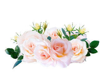 Similar image 22165485