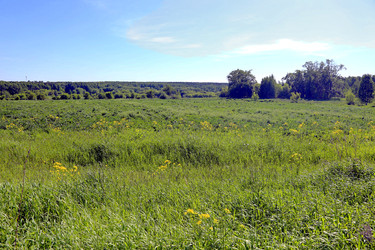 Similar image 22163820