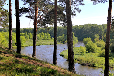 Similar image 22164002