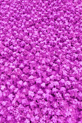 Similar image 22165826