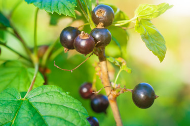 Similar image 22165830