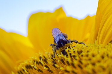 Similar image 22165833