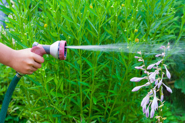 Similar image 22165835