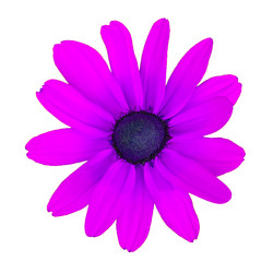 Similar image 22165838