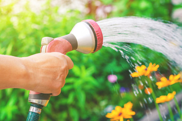 Similar image 22165841