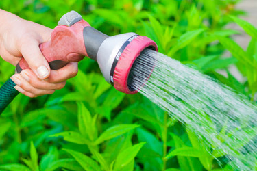 Similar image 22165842