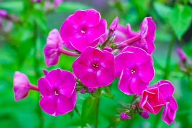 Similar image 22165845