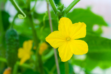 Similar image 22165846