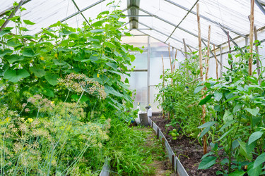 Similar image 22165849