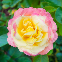 Similar image 22165850