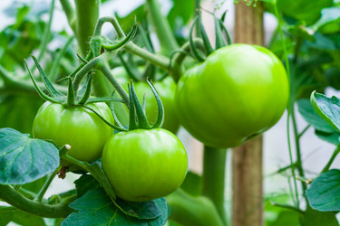 Similar image 22165864