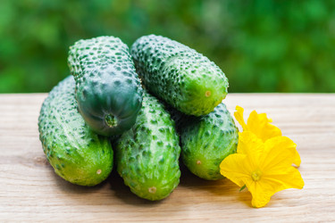 Similar image 22165489