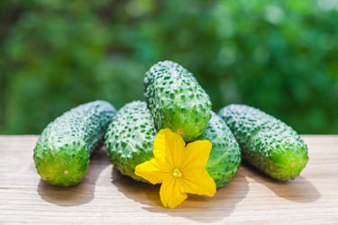 Similar image 22165491