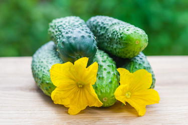 Similar image 22165492