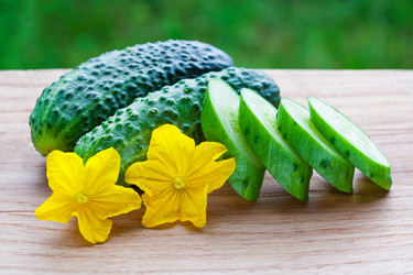 Similar image 22165493