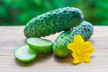 Similar image 22165494