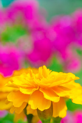 Similar image 22165500