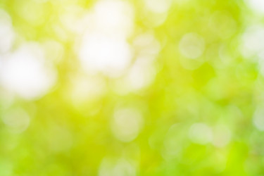 Similar image 22165503