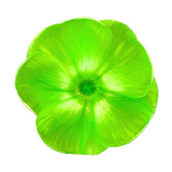 Similar image 22165523