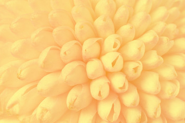 Similar image 22165524