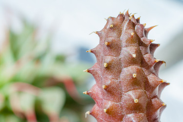 Similar image 22165922