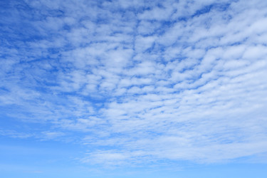 Similar image 22165923