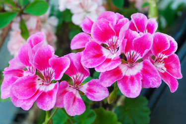 Similar image 22165929