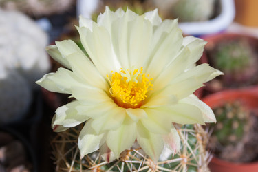 Similar image 22165930