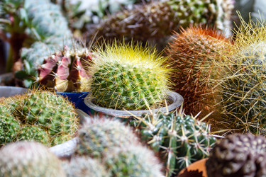 Similar image 22165931