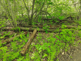 Similar image 22165932