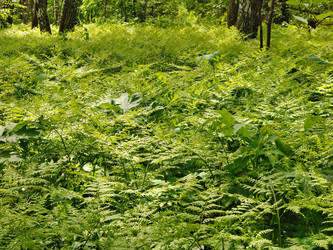 Similar image 22164003