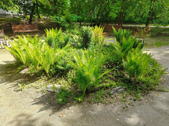 Similar image 22164004