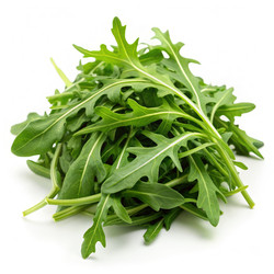 Similar image 22166540