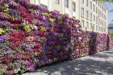 Similar image 22163821