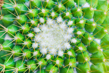 Similar image 22165940