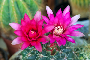 Similar image 22165941