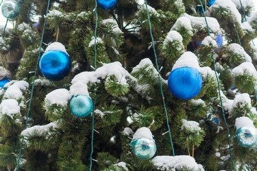 Similar image 22165944